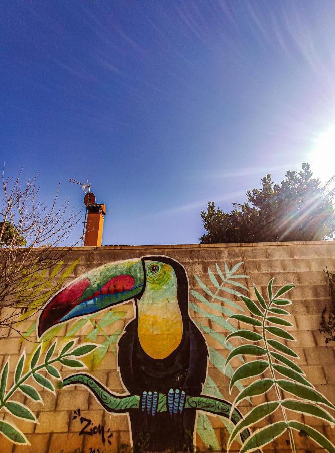 Casa Del Tucan Holiday home *